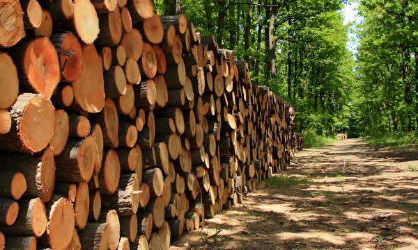 a6c872afe78610f207c0aa16d432d58